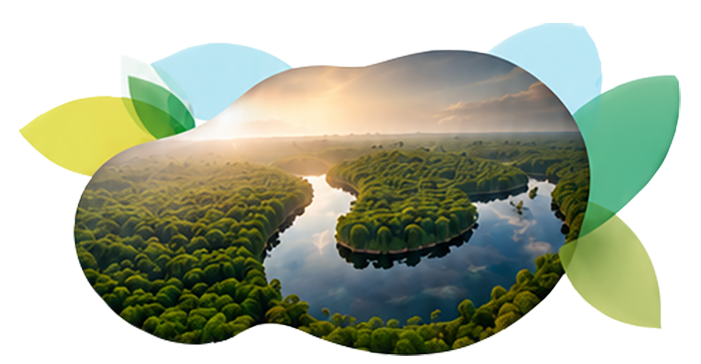 Imagem da floresta insolarada